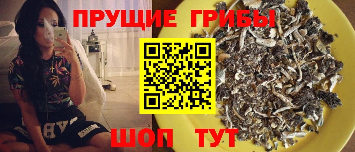 Галлюциногенные грибы ЛСД  Вход с VPN  Миасс 